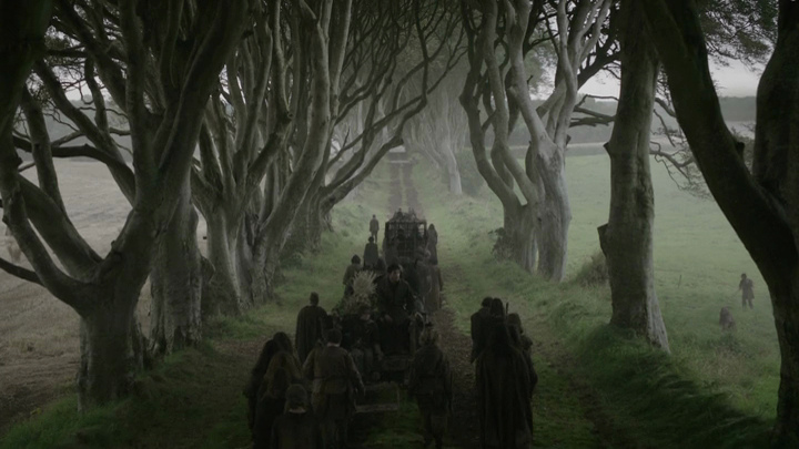 Dark Hedges beech tree tunnel at dusk with misty atmosphere, Northern Ireland